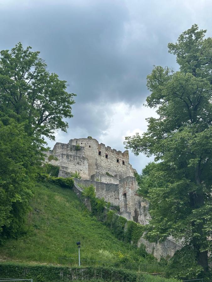 Ferienwohnung Zur Roni Treuchtlingen Buitenkant foto